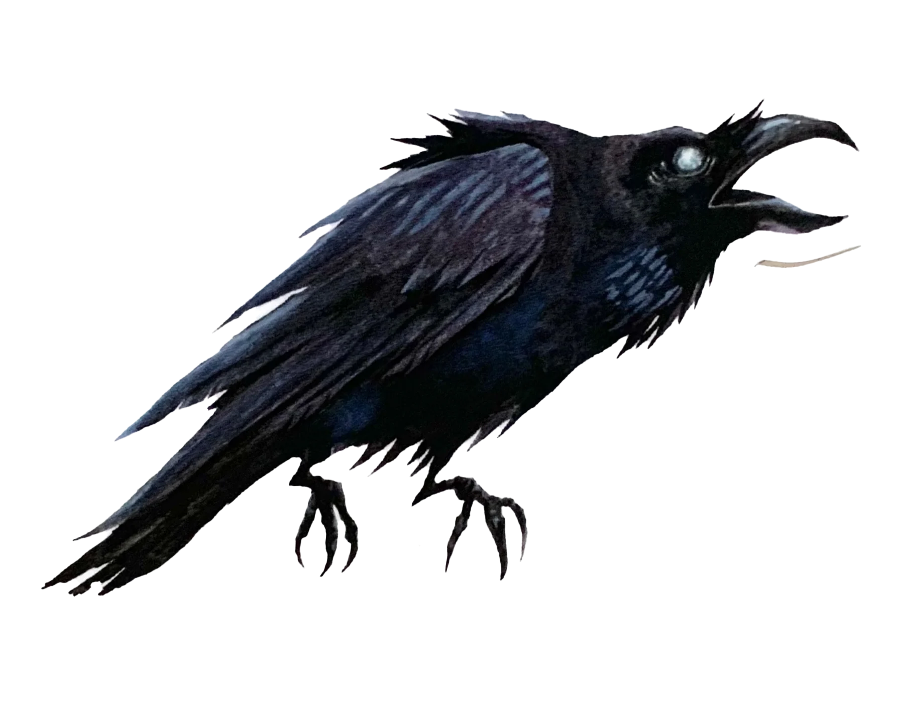 Azurio Template Cursor Trail Image