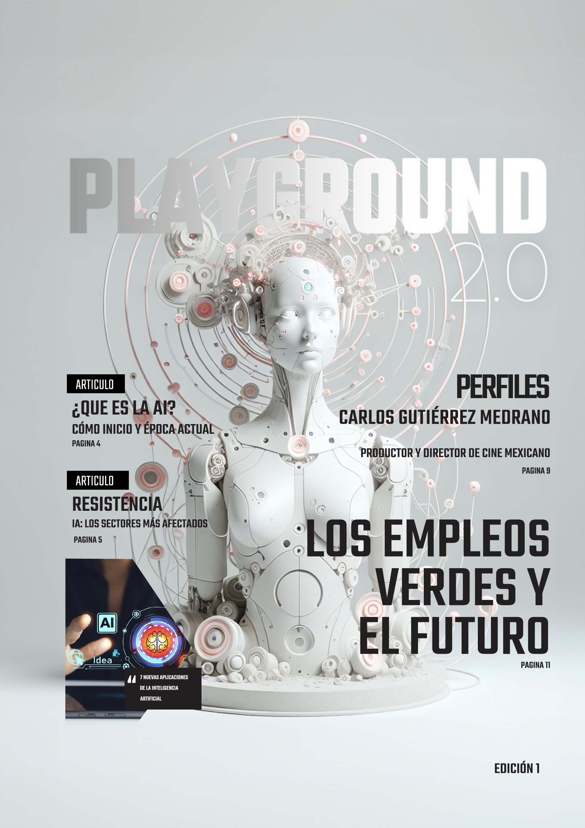 Project Preview Image