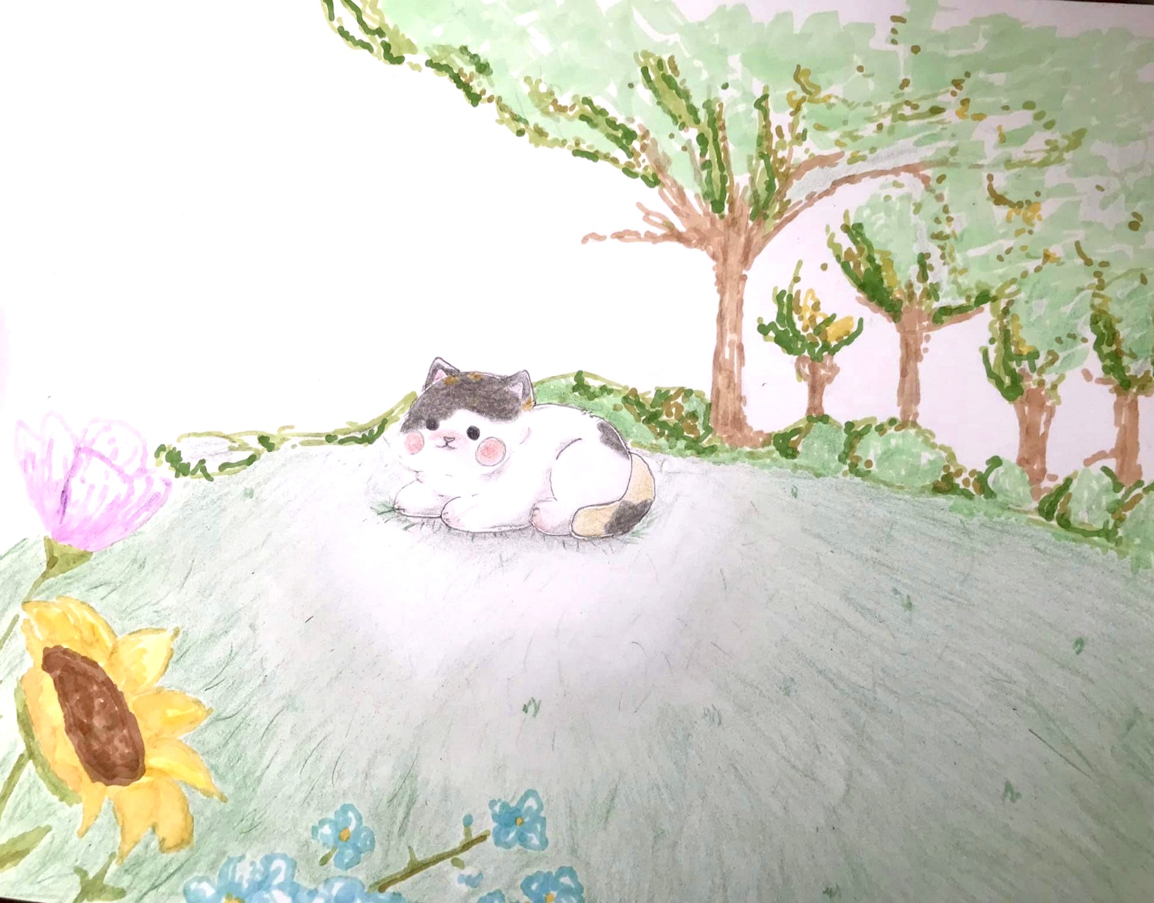 Project Preview Image