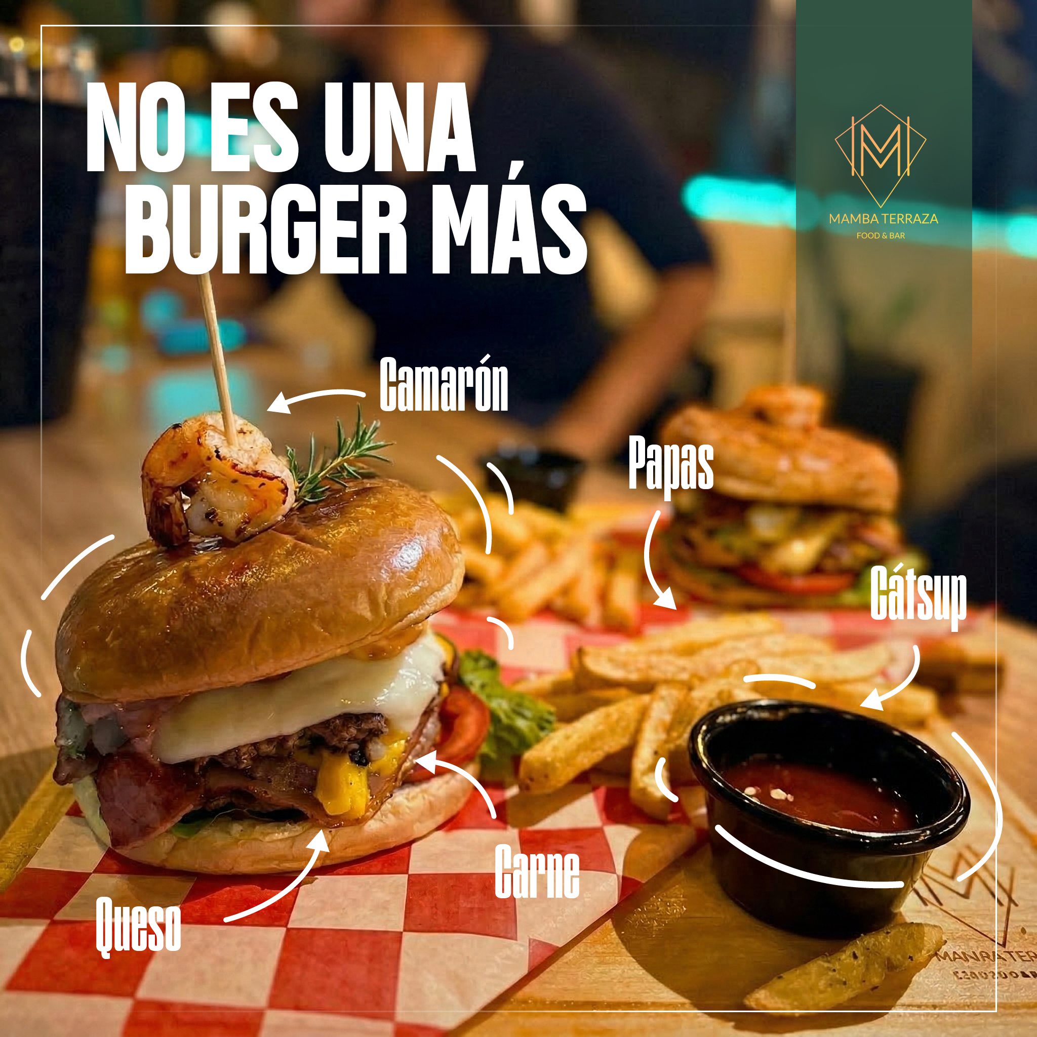 Project Preview Image