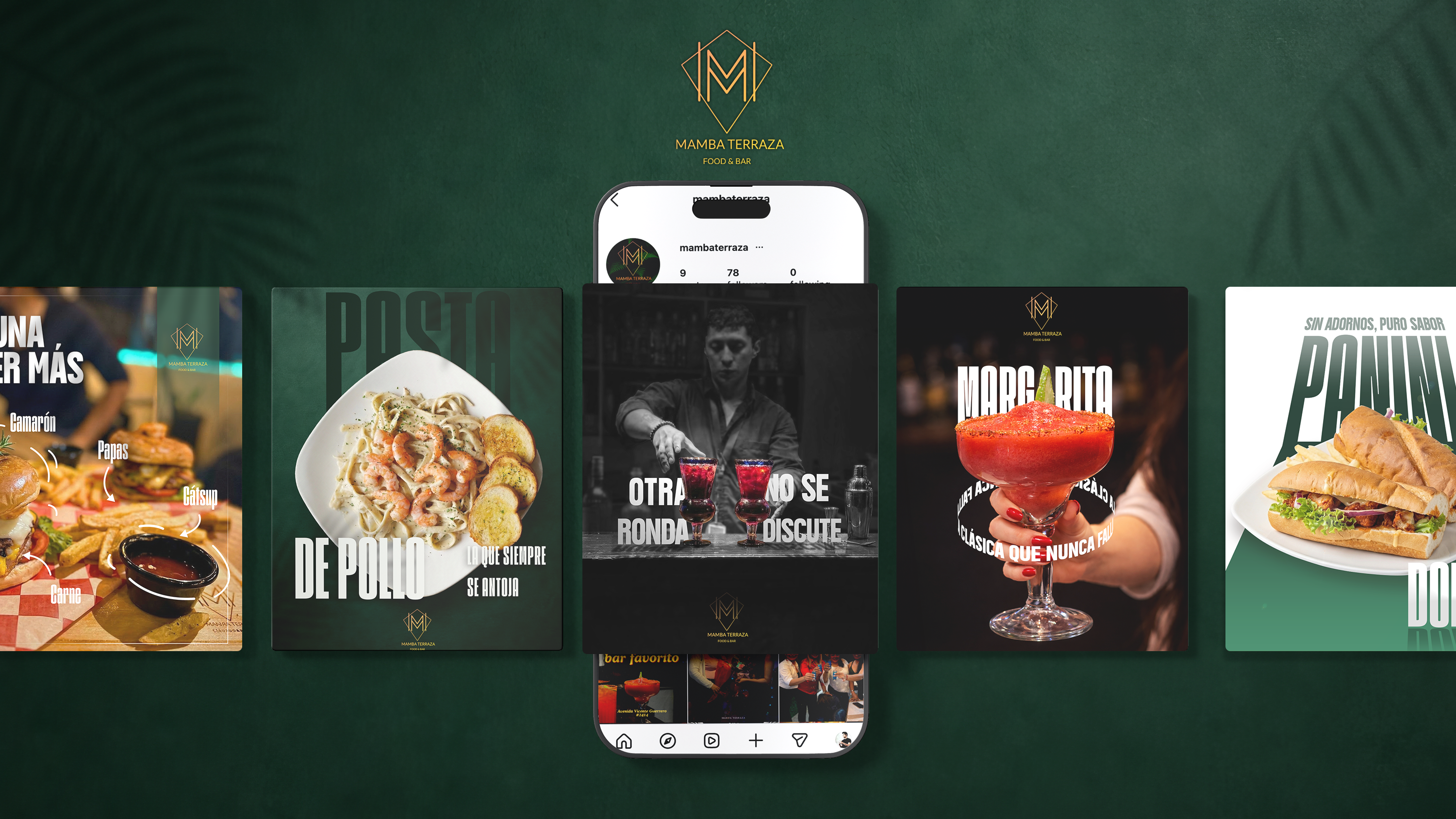 Project Preview Image